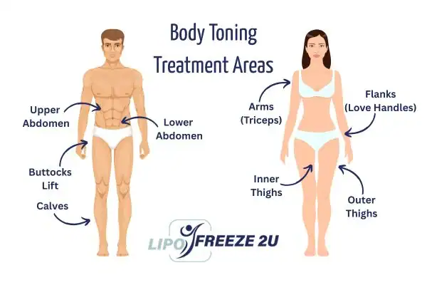 Graphic showing where you can have Body toning Treatment Worthing on your body